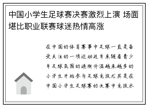 中国小学生足球赛决赛激烈上演 场面堪比职业联赛球迷热情高涨